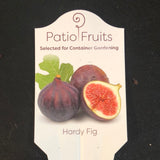 Fig Bushes