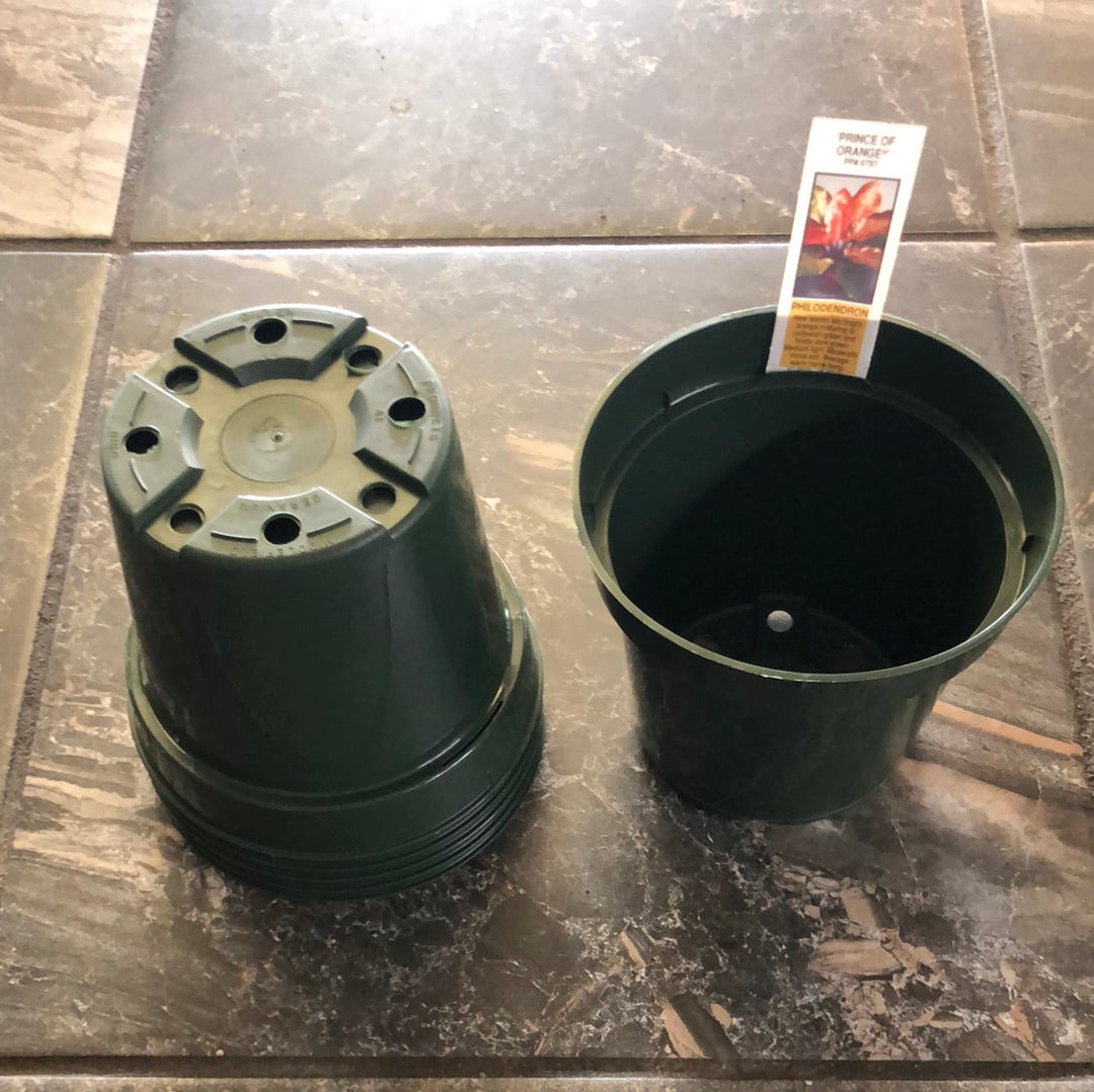 4 inch planter pot 4.5" Green Plastic Pots, Quantity of 6, Made in the USA – Christine's Tropical & Exotic Plants