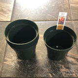 4.5" Green Plastic Pots, Quantity of 6, Made in the USA